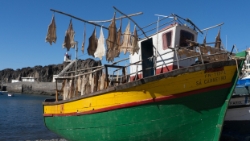 (2014-08) - 13 - Vacances à Madère - Camera de Lobos